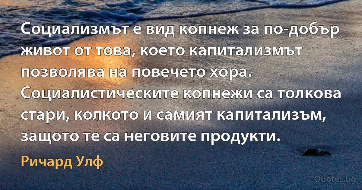 Социализмът е вид копнеж за по-добър живот от това, което капитализмът позволява на повечето хора. Социалистическите копнежи са толкова стари, колкото и самият капитализъм, защото те са неговите продукти. (Ричард Улф)