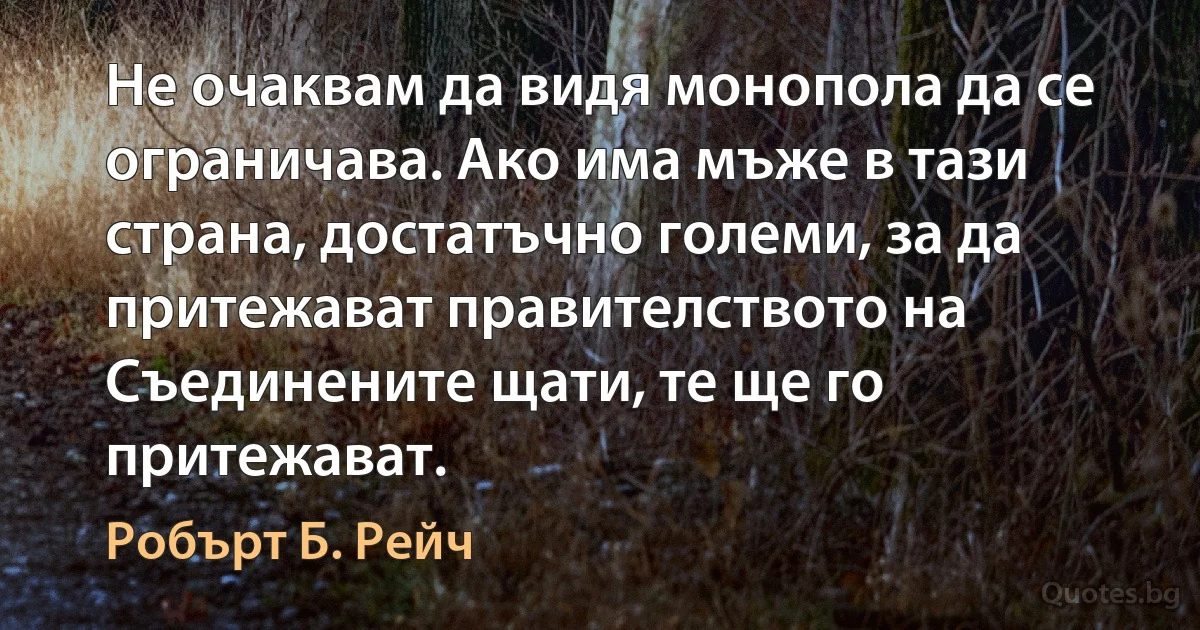 Не очаквам да видя монопола да се ограничава. Ако има мъже в тази страна, достатъчно големи, за да притежават правителството на Съединените щати, те ще го притежават. (Робърт Б. Рейч)