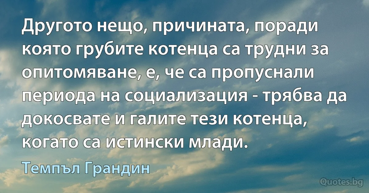 Другото нещо, причината, поради която грубите котенца са трудни за опитомяване, е, че са пропуснали периода на социализация - трябва да докосвате и галите тези котенца, когато са истински млади. (Темпъл Грандин)