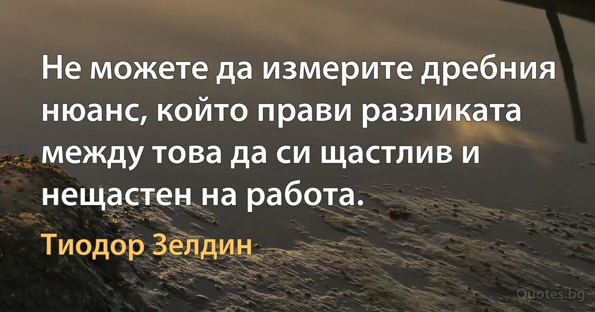 Не можете да измерите дребния нюанс, който прави разликата между това да си щастлив и нещастен на работа. (Тиодор Зелдин)