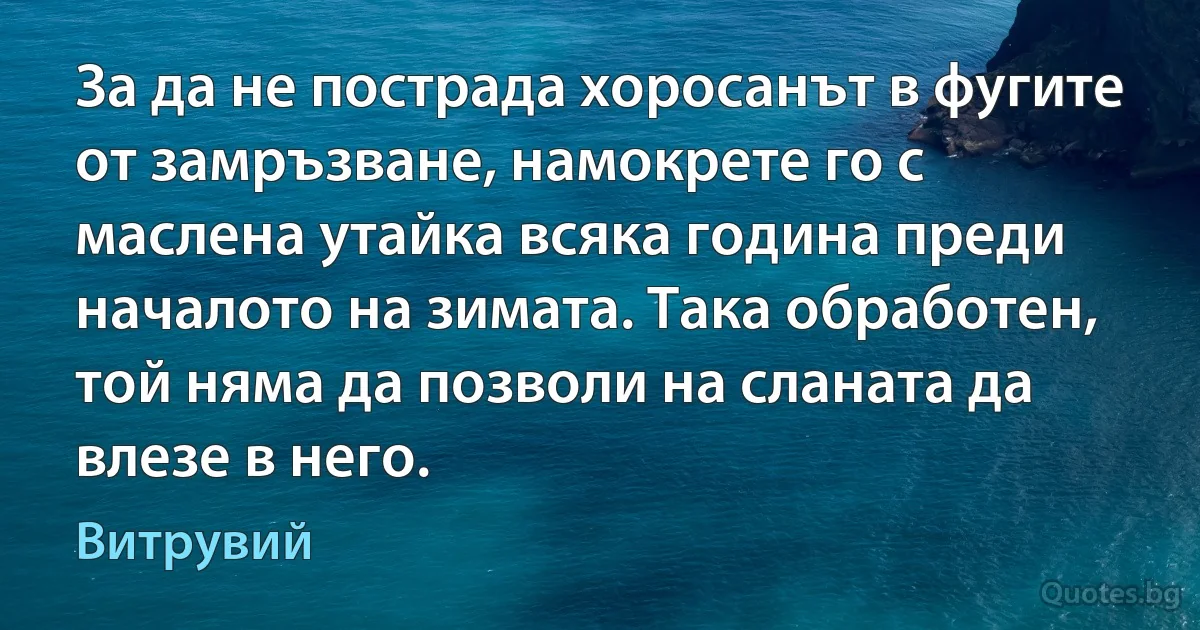 За да не пострада хоросанът в фугите от замръзване, намокрете го с маслена утайка всяка година преди началото на зимата. Така обработен, той няма да позволи на сланата да влезе в него. (Витрувий)