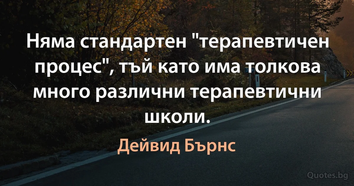 Няма стандартен "терапевтичен процес", тъй като има толкова много различни терапевтични школи. (Дейвид Бърнс)