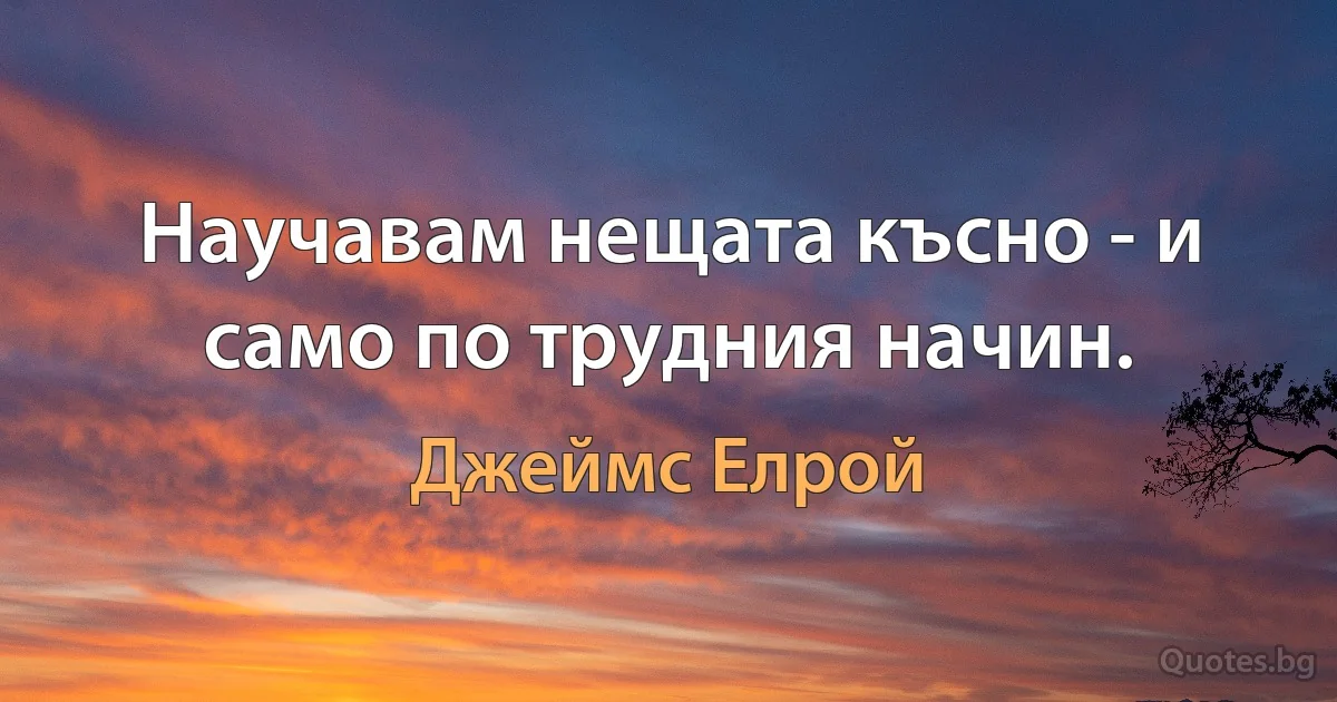 Научавам нещата късно - и само по трудния начин. (Джеймс Елрой)