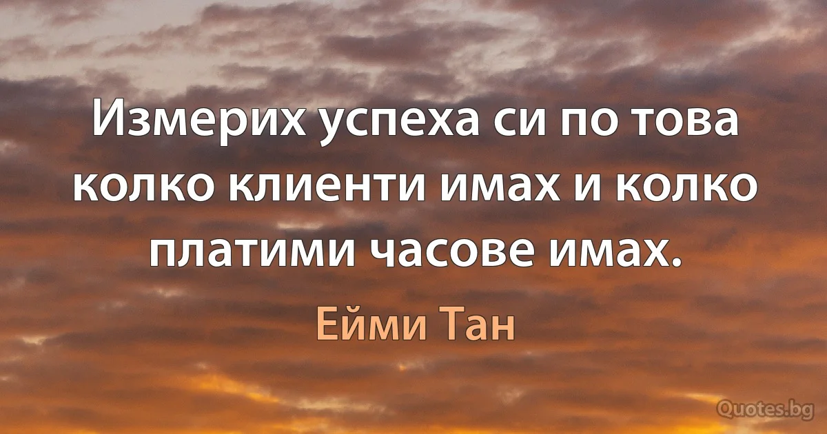 Измерих успеха си по това колко клиенти имах и колко платими часове имах. (Ейми Тан)