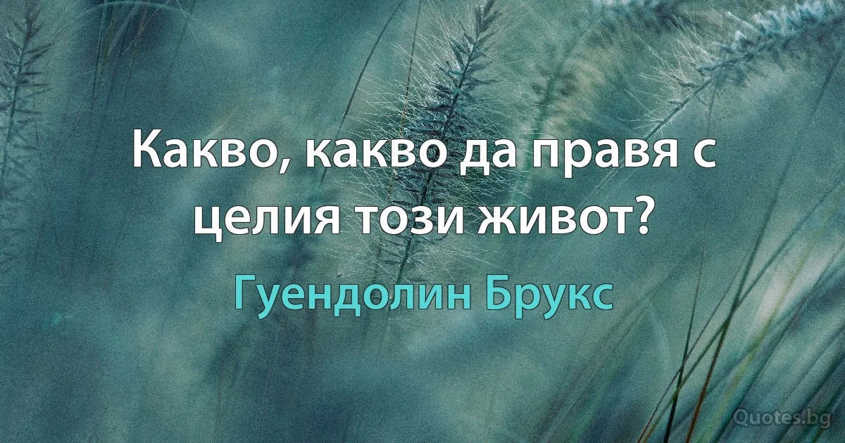 Какво, какво да правя с целия този живот? (Гуендолин Брукс)