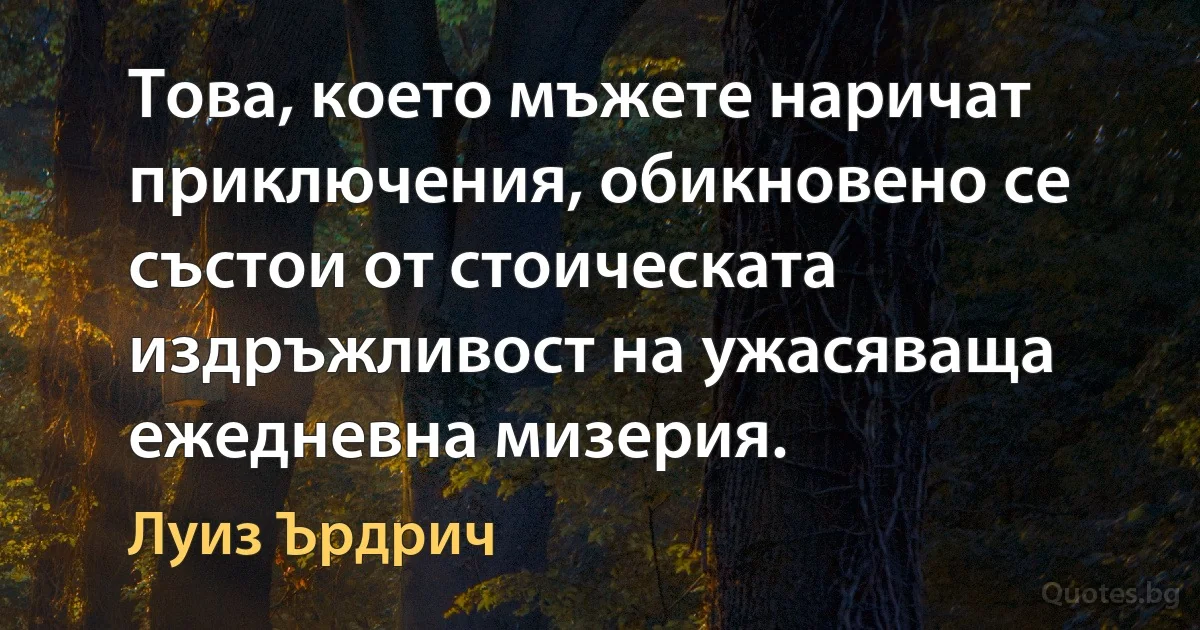 Това, което мъжете наричат приключения, обикновено се състои от стоическата издръжливост на ужасяваща ежедневна мизерия. (Луиз Ърдрич)