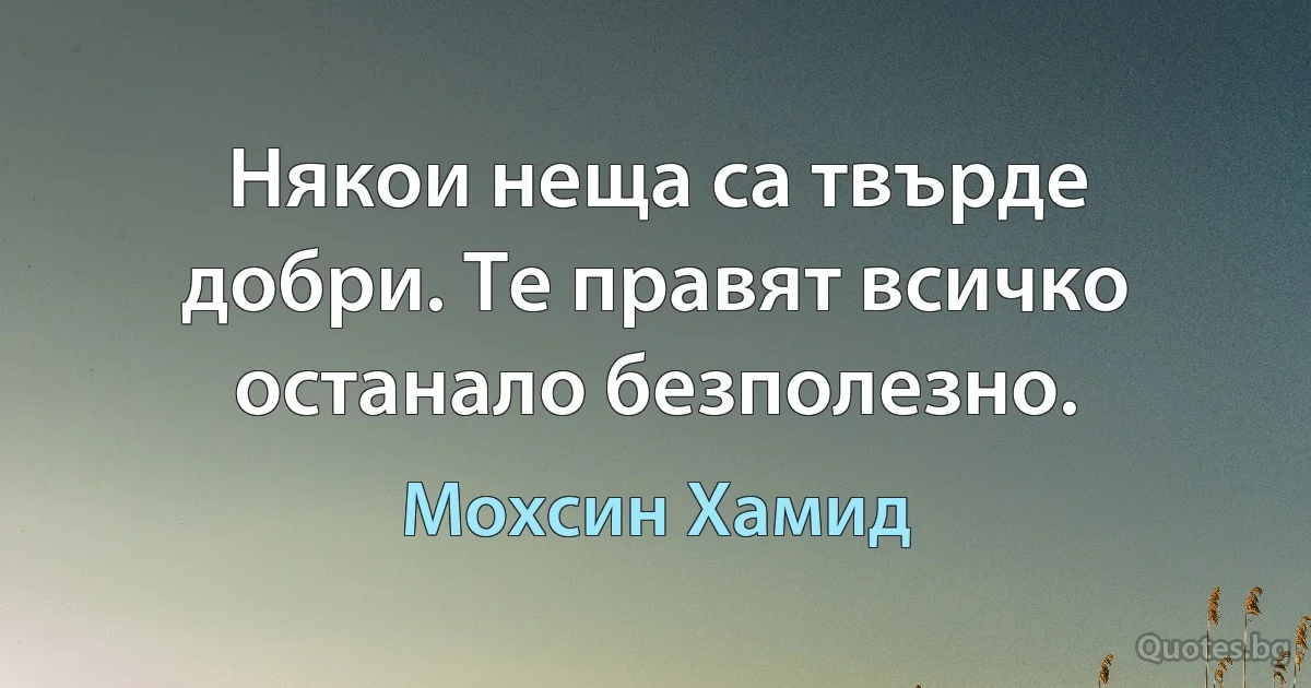 Някои неща са твърде добри. Те правят всичко останало безполезно. (Мохсин Хамид)