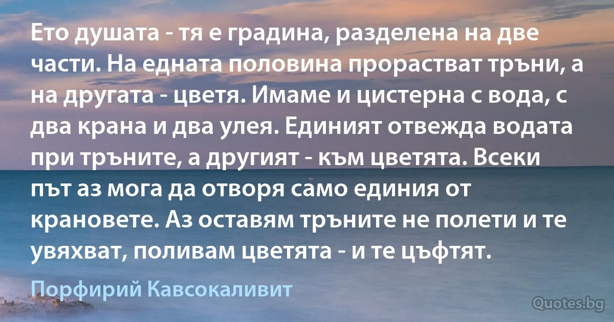 Ето душата - тя е градина, разделена на две части. На едната половина прорастват тръни, а на другата - цветя. Имаме и цистерна с вода, с два крана и два улея. Единият отвежда водата при тръните, а другият - към цветята. Всеки път аз мога да отворя само единия от крановете. Аз оставям тръните не полети и те увяхват, поливам цветята - и те цъфтят. (Порфирий Кавсокаливит)