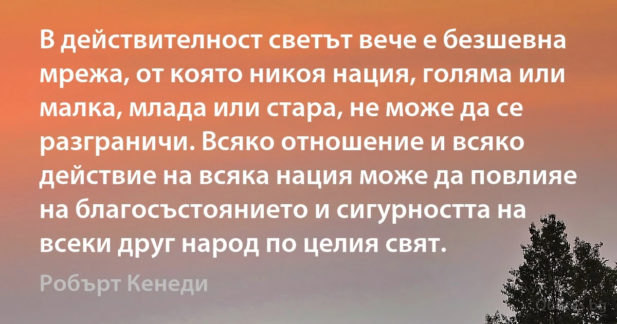 В действителност светът вече е безшевна мрежа, от която никоя нация, голяма или малка, млада или стара, не може да се разграничи. Всяко отношение и всяко действие на всяка нация може да повлияе на благосъстоянието и сигурността на всеки друг народ по целия свят. (Робърт Кенеди)