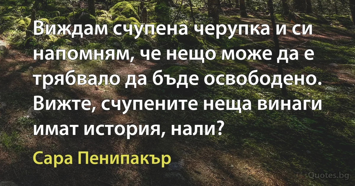 Виждам счупена черупка и си напомням, че нещо може да е трябвало да бъде освободено. Вижте, счупените неща винаги имат история, нали? (Сара Пенипакър)