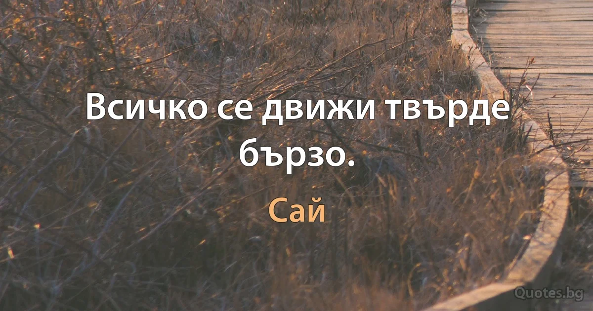 Всичко се движи твърде бързо. (Сай)