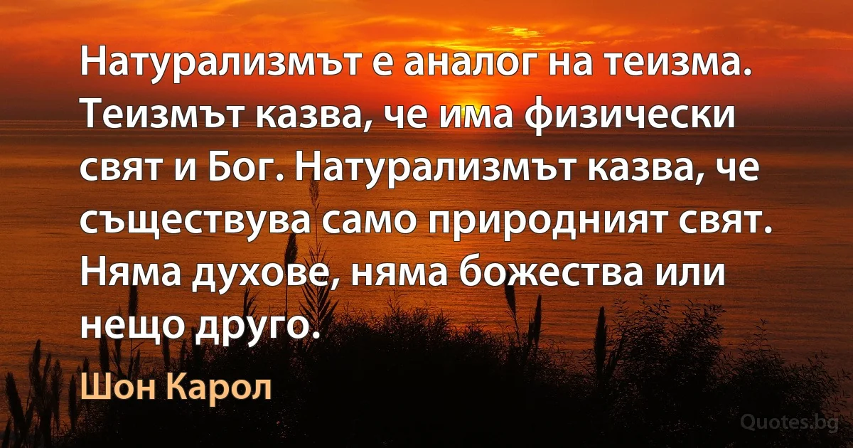 Натурализмът е аналог на теизма. Теизмът казва, че има физически свят и Бог. Натурализмът казва, че съществува само природният свят. Няма духове, няма божества или нещо друго. (Шон Карол)