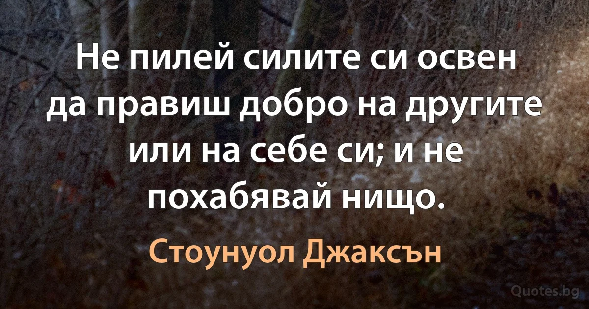 Не пилей силите си освен да правиш добро на другите или на себе си; и не похабявай нищо. (Стоунуол Джаксън)