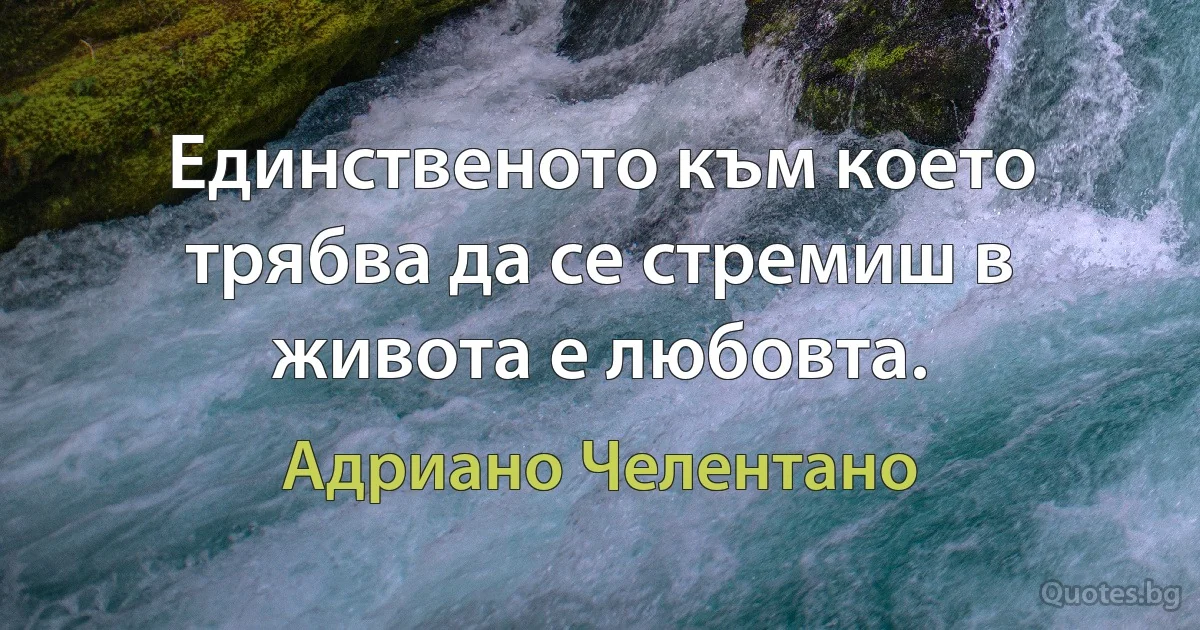 Единственото към което трябва да се стремиш в живота е любовта. (Адриано Челентано)