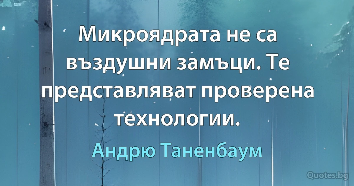 Микроядрата не са въздушни замъци. Те представляват проверена технологии. (Андрю Таненбаум)