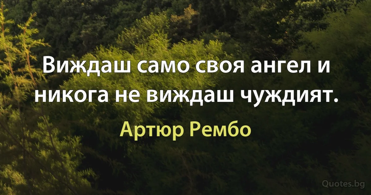 Виждаш само своя ангел и никога не виждаш чуждият. (Артюр Рембо)