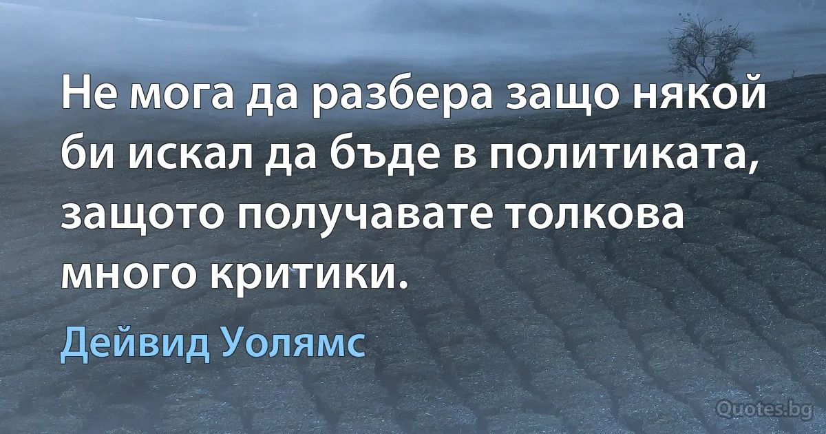 Не мога да разбера защо някой би искал да бъде в политиката, защото получавате толкова много критики. (Дейвид Уолямс)