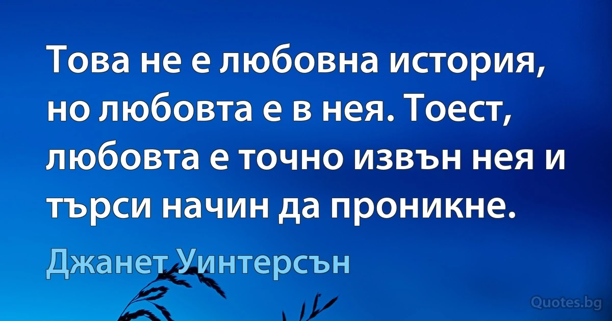 Това не е любовна история, но любовта е в нея. Тоест, любовта е точно извън нея и търси начин да проникне. (Джанет Уинтерсън)