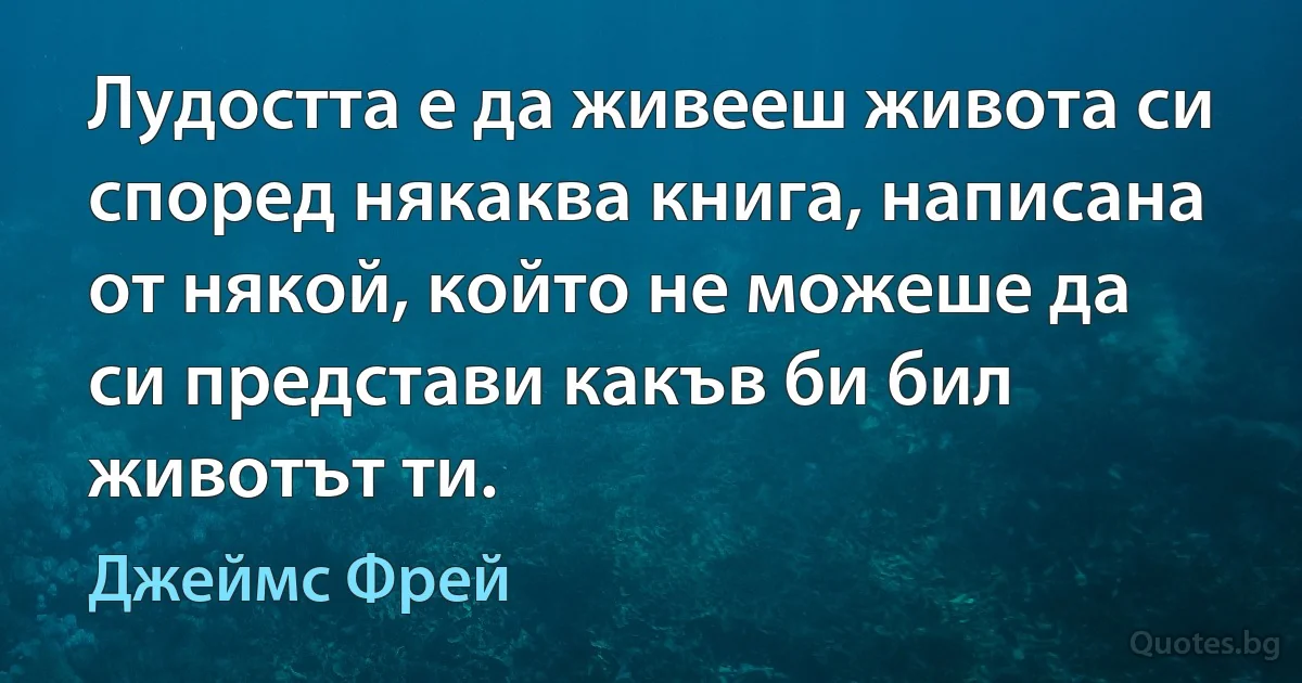 Лудостта е да живееш живота си според някаква книга, написана от някой, който не можеше да си представи какъв би бил животът ти. (Джеймс Фрей)