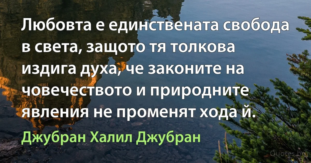 Любовта е единствената свобода в света, защото тя толкова издига духа, че законите на човечеството и природните явления не променят хода й. (Джубран Халил Джубран)