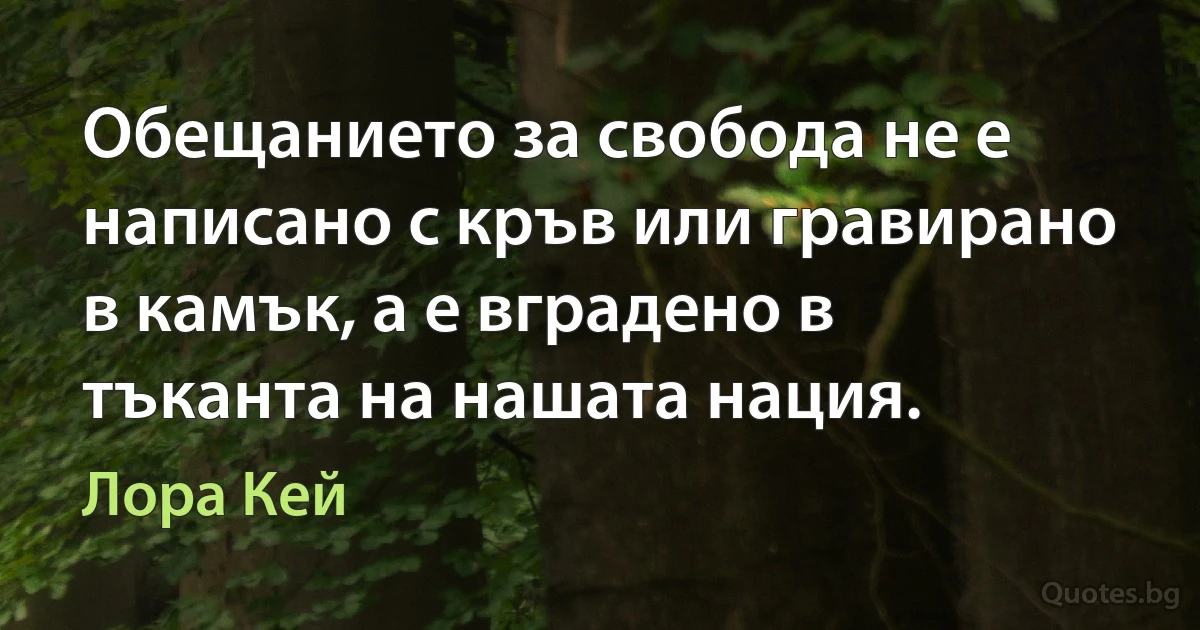 Обещанието за свобода не е написано с кръв или гравирано в камък, а е вградено в тъканта на нашата нация. (Лора Кей)