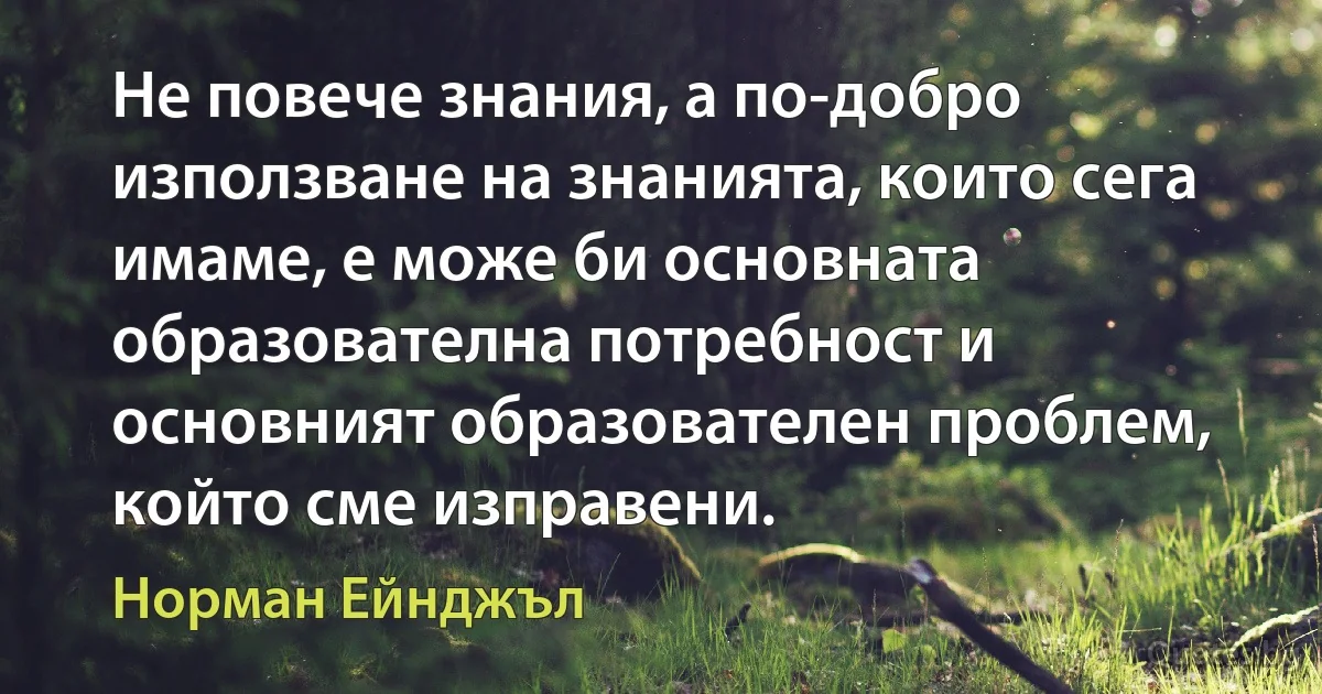 Не повече знания, а по-добро използване на знанията, които сега имаме, е може би основната образователна потребност и основният образователен проблем, който сме изправени. (Норман Ейнджъл)