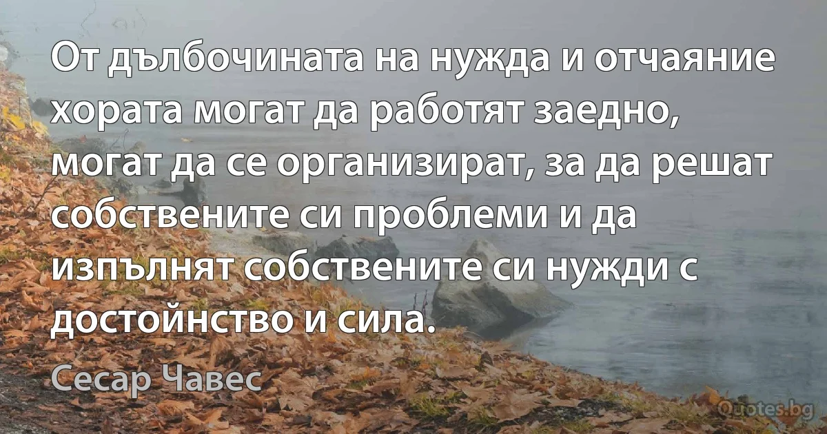 От дълбочината на нужда и отчаяние хората могат да работят заедно, могат да се организират, за да решат собствените си проблеми и да изпълнят собствените си нужди с достойнство и сила. (Сесар Чавес)