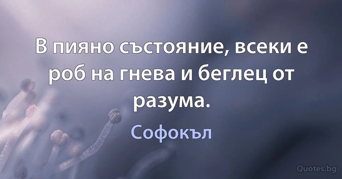 В пияно състояние, всеки е роб на гнева и беглец от разума. (Софокъл)