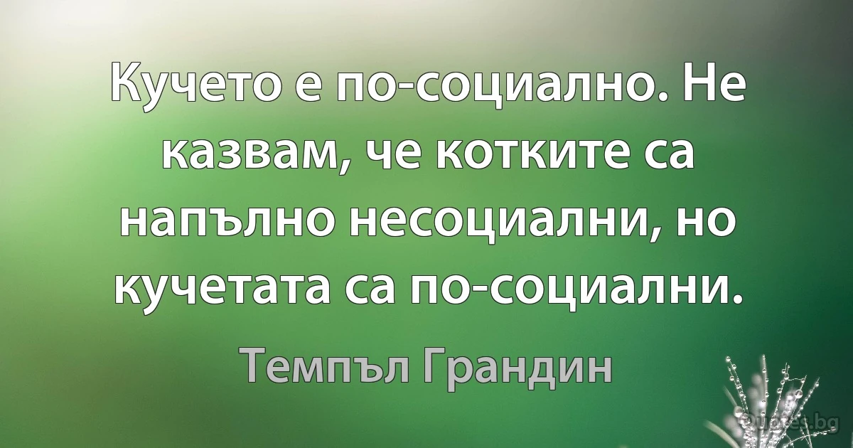 Кучето е по-социално. Не казвам, че котките са напълно несоциални, но кучетата са по-социални. (Темпъл Грандин)