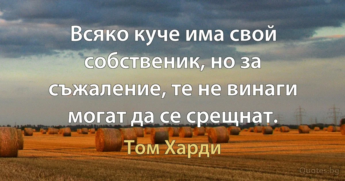 Всяко куче има свой собственик, но за съжаление, те не винаги могат да се срещнат. (Том Харди)