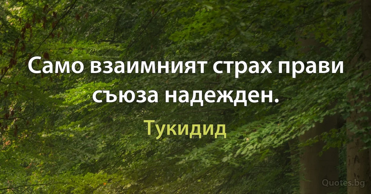 Само взаимният страх прави съюза надежден. (Тукидид)