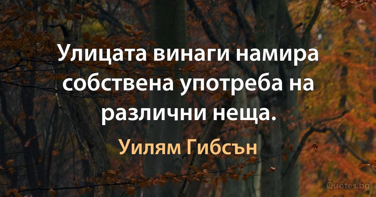 Улицата винаги намира собствена употреба на различни неща. (Уилям Гибсън)