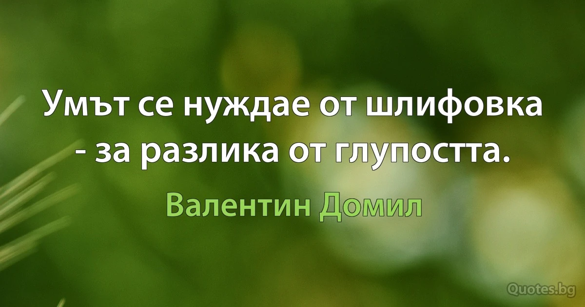 Умът се нуждае от шлифовка - за разлика от глупостта. (Валентин Домил)