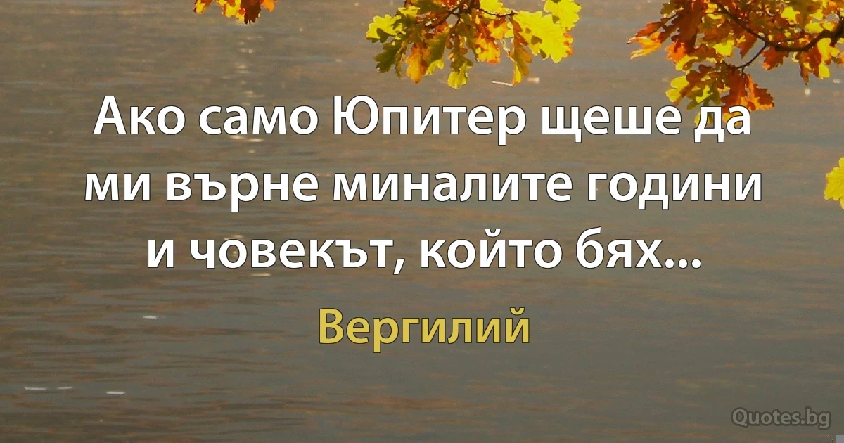 Ако само Юпитер щеше да ми върне миналите години и човекът, който бях... (Вергилий)