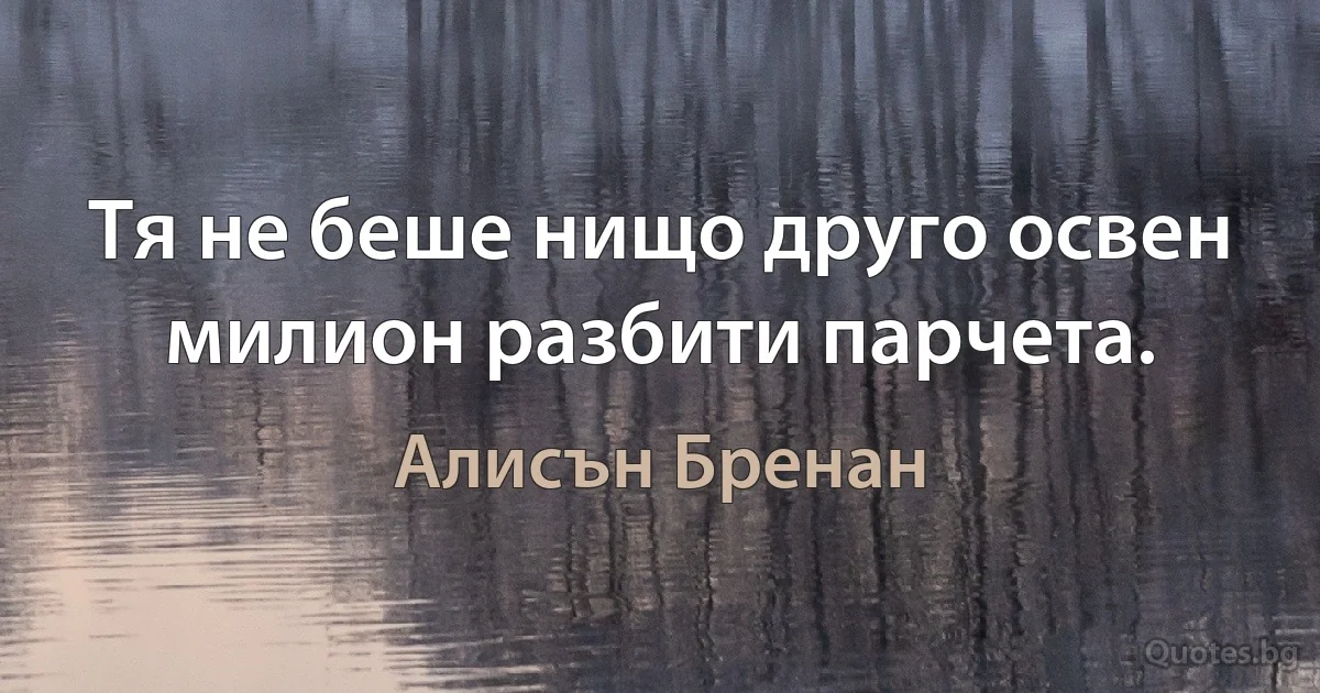 Тя не беше нищо друго освен милион разбити парчета. (Алисън Бренан)