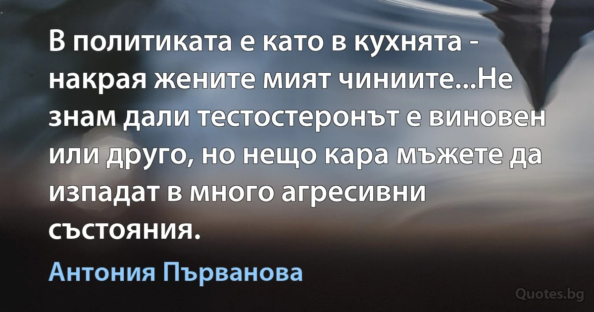 В политиката е като в кухнята - накрая жените мият чиниите...Не знам дали тестостеронът е виновен или друго, но нещо кара мъжете да изпадат в много агресивни състояния. (Антония Първанова)