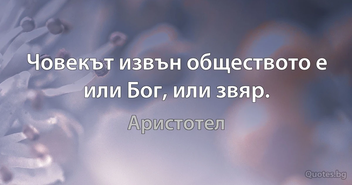 Човекът извън обществото е или Бог, или звяр. (Аристотел)