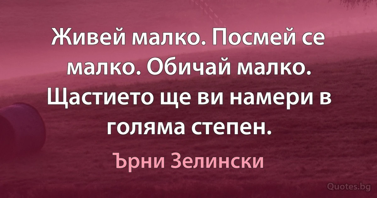 Живей малко. Посмей се малко. Обичай малко. Щастието ще ви намери в голяма степен. (Ърни Зелински)