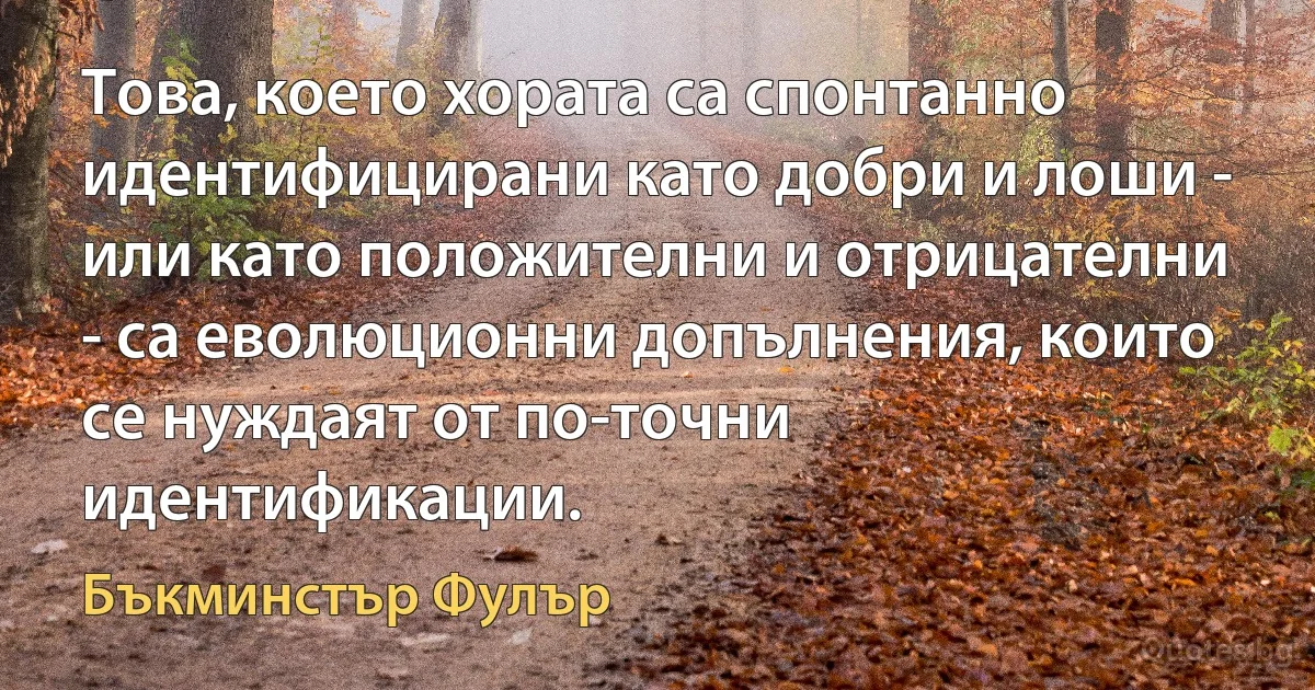 Това, което хората са спонтанно идентифицирани като добри и лоши - или като положителни и отрицателни - са еволюционни допълнения, които се нуждаят от по-точни идентификации. (Бъкминстър Фулър)