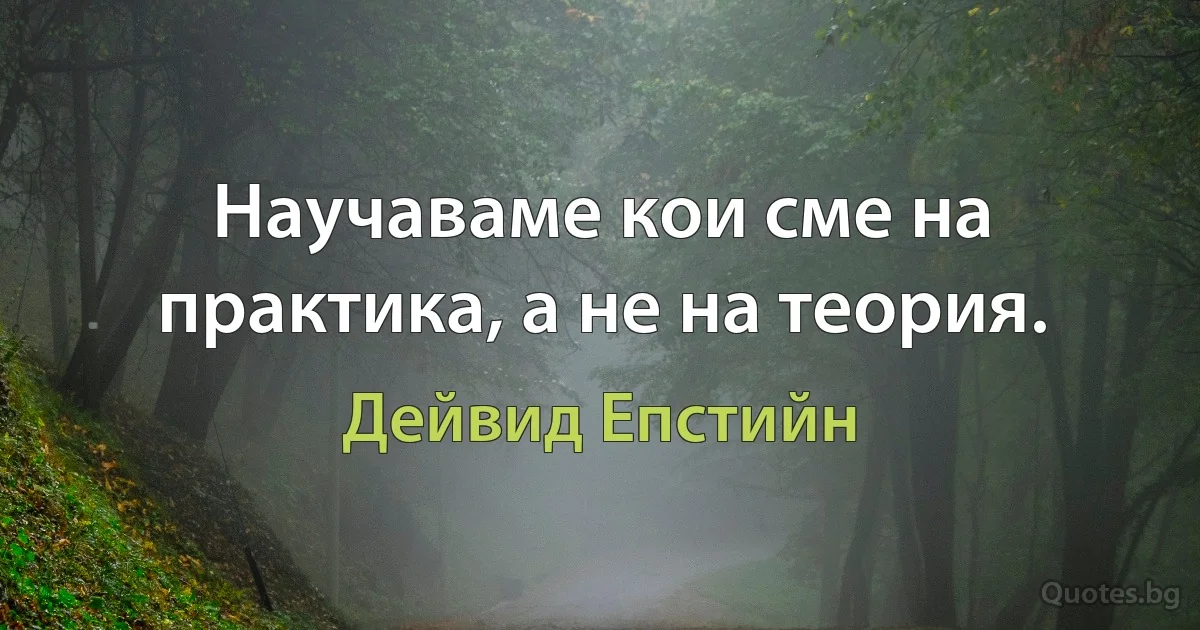 Научаваме кои сме на практика, а не на теория. (Дейвид Епстийн)