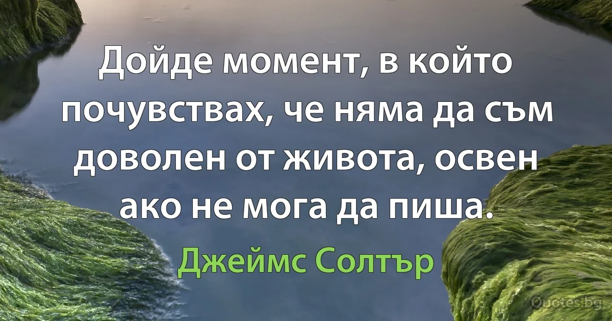 Дойде момент, в който почувствах, че няма да съм доволен от живота, освен ако не мога да пиша. (Джеймс Солтър)