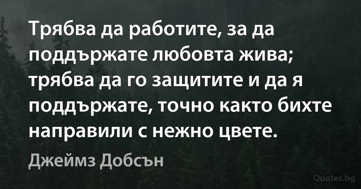 Трябва да работите, за да поддържате любовта жива; трябва да го защитите и да я поддържате, точно както бихте направили с нежно цвете. (Джеймз Добсън)