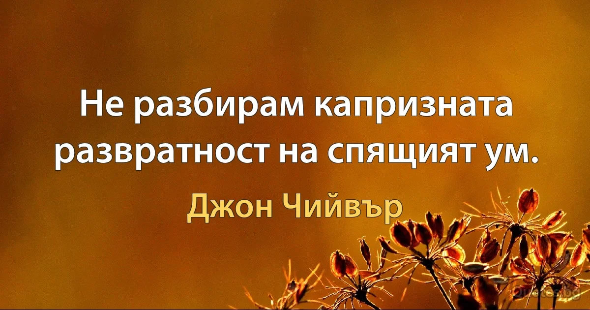 Не разбирам капризната развратност на спящият ум. (Джон Чийвър)