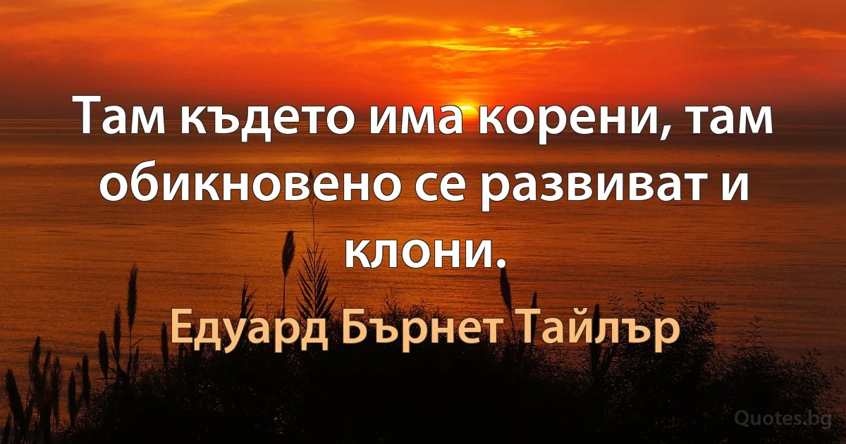 Там където има корени, там обикновено се развиват и клони. (Едуард Бърнет Тайлър)