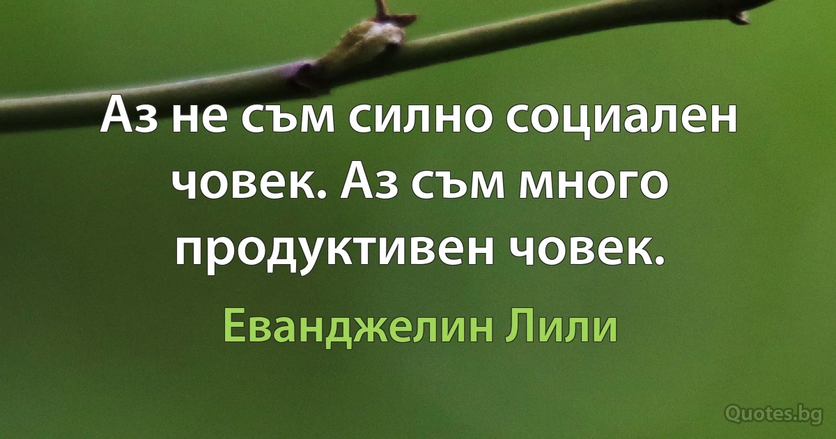 Аз не съм силно социален човек. Аз съм много продуктивен човек. (Еванджелин Лили)