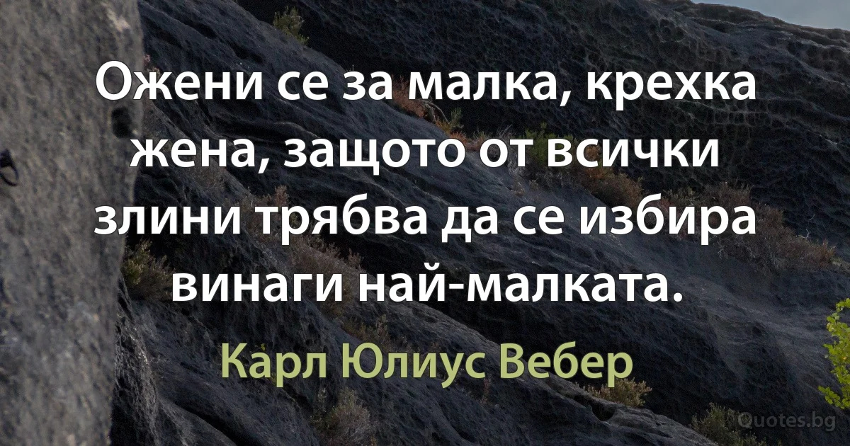 Ожени се за малка, крехка жена, защото от всички злини трябва да се избира винаги най-малката. (Карл Юлиус Вебер)