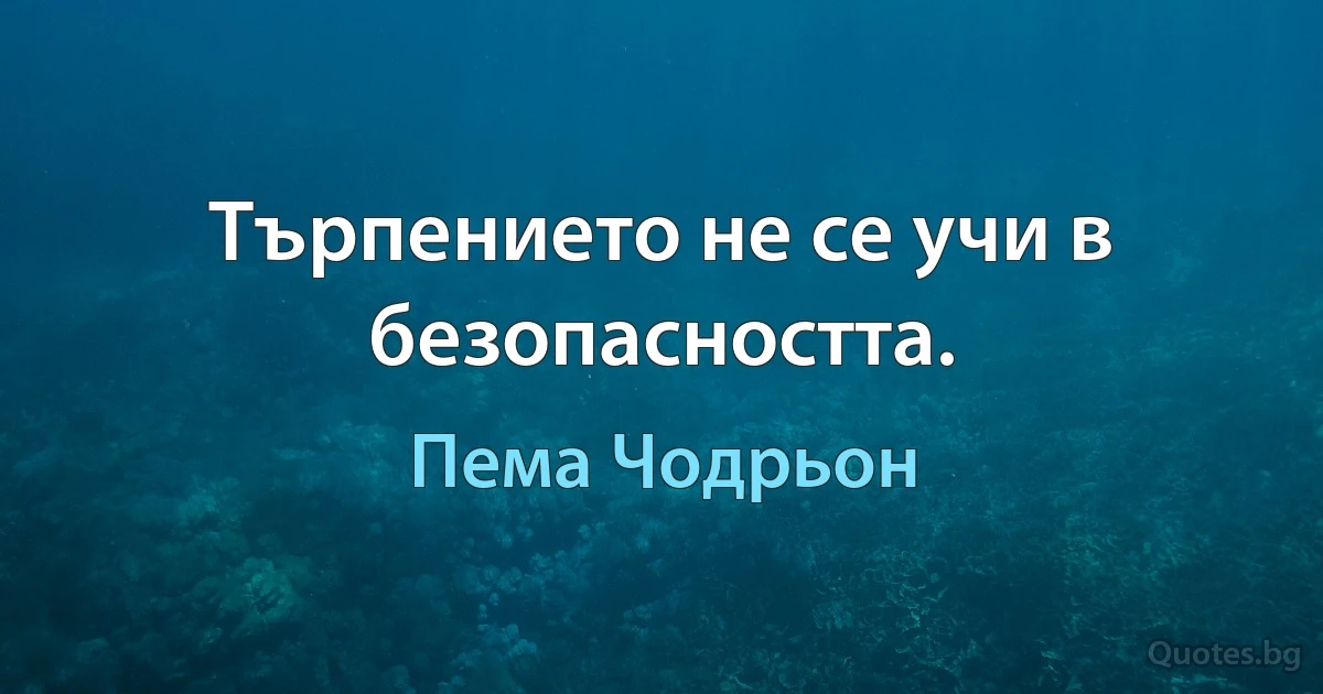 Търпението не се учи в безопасността. (Пема Чодрьон)