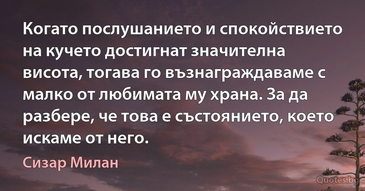 Когато послушанието и спокойствието на кучето достигнат значителна висота, тогава го възнаграждаваме с малко от любимата му храна. За да разбере, че това е състоянието, което искаме от него. (Сизар Милан)