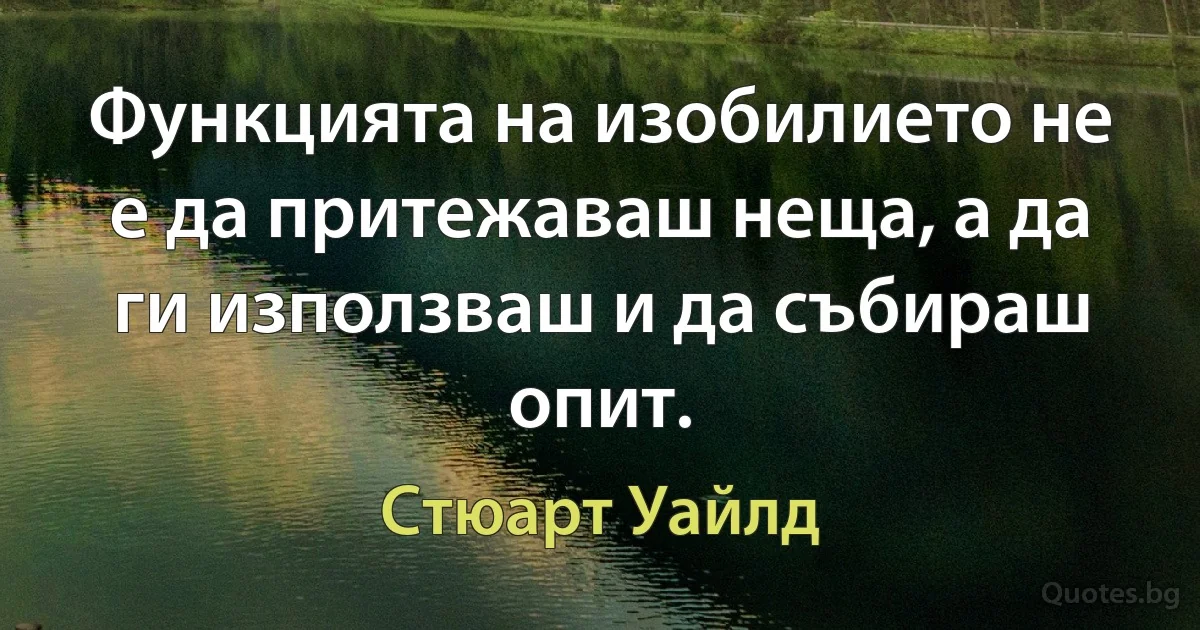 Функцията на изобилието не е да притежаваш неща, а да ги използваш и да събираш опит. (Стюарт Уайлд)