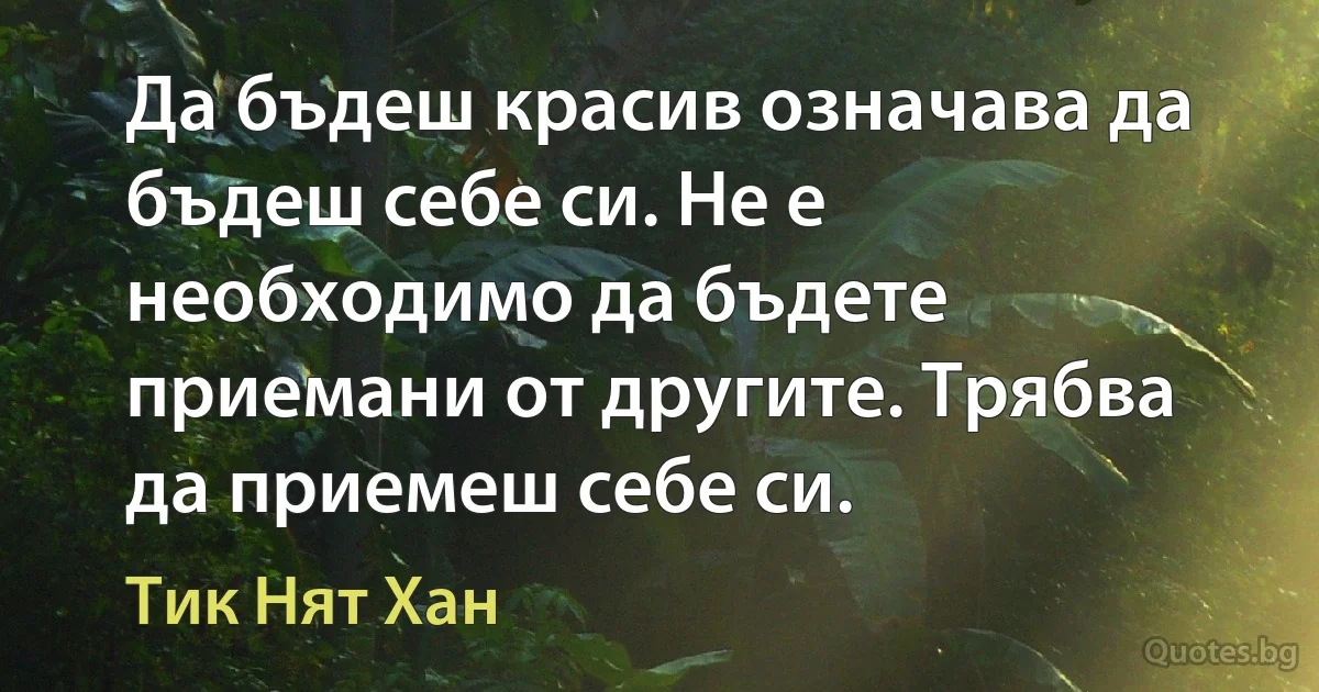 Да бъдеш красив означава да бъдеш себе си. Не е необходимо да бъдете приемани от другите. Трябва да приемеш себе си. (Тик Нят Хан)